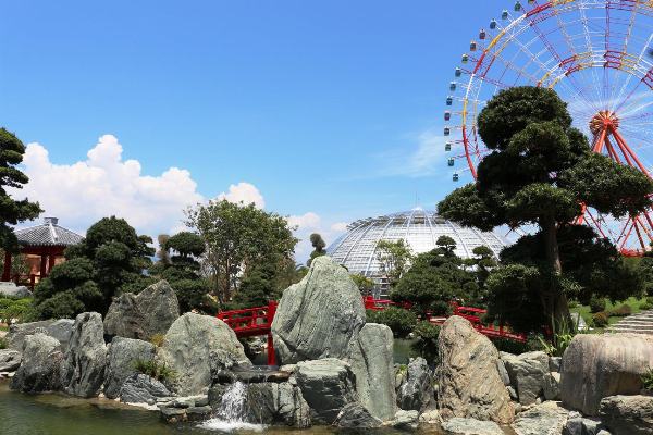 Vinpearl Land mở cửa công viên thực vật 5 châu độc đáo nhất Việt Nam ảnh 4